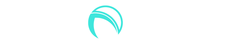 Ventic Ventures | The Software Guys